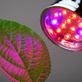 The Benefits and Risks of Using UV Lights for Plants