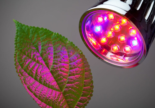 The Benefits and Risks of Using UV Lights for Plants